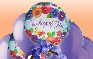 1 800 BALLOONS BALLOON BOUQUET DELIVERY visual data 2